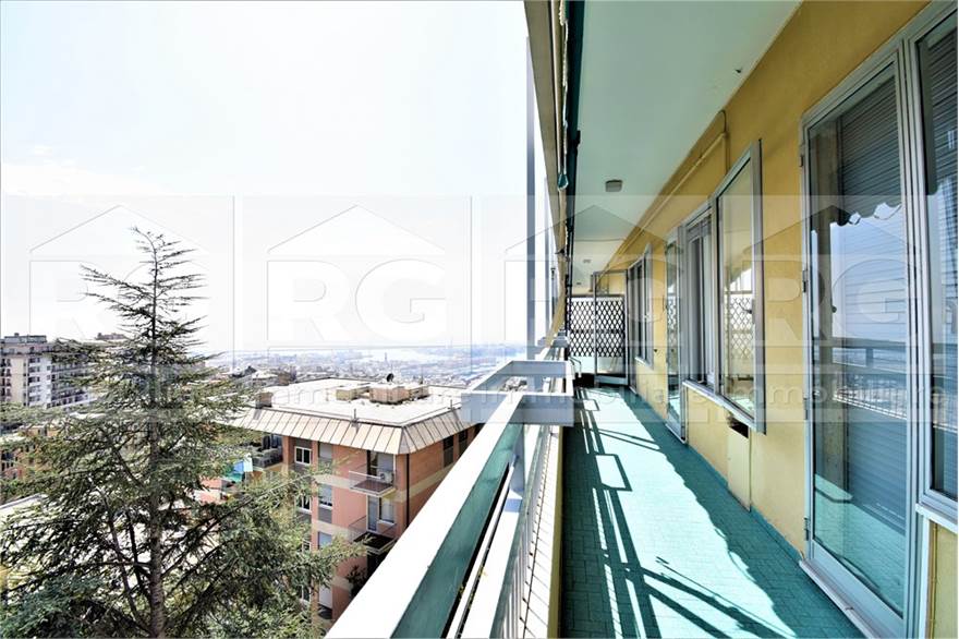 il terrazzo