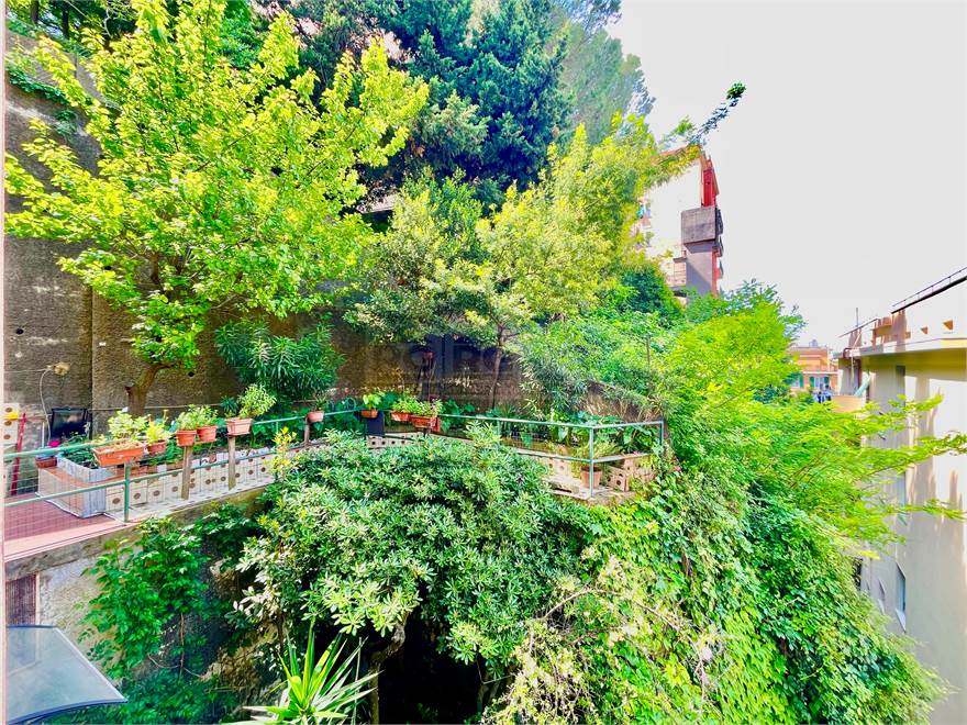 la vista del giardino