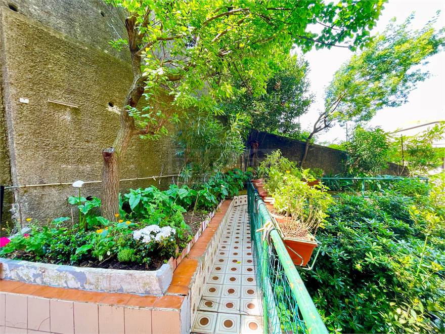 il giardino piantumato